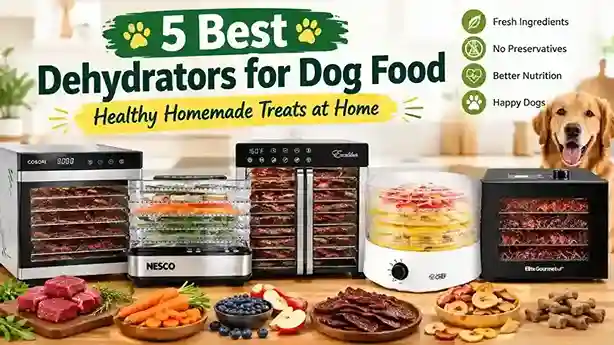 Dehydrators for Dog Food